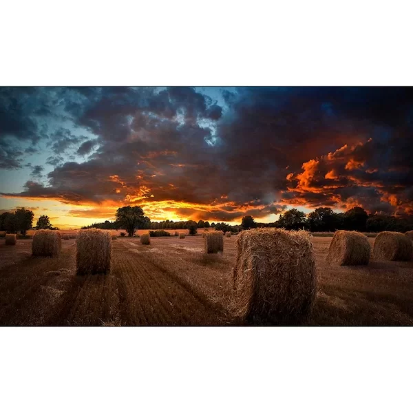 pc mat plus samsung lh46vmbubgbxgo pantalla video wall 46 01